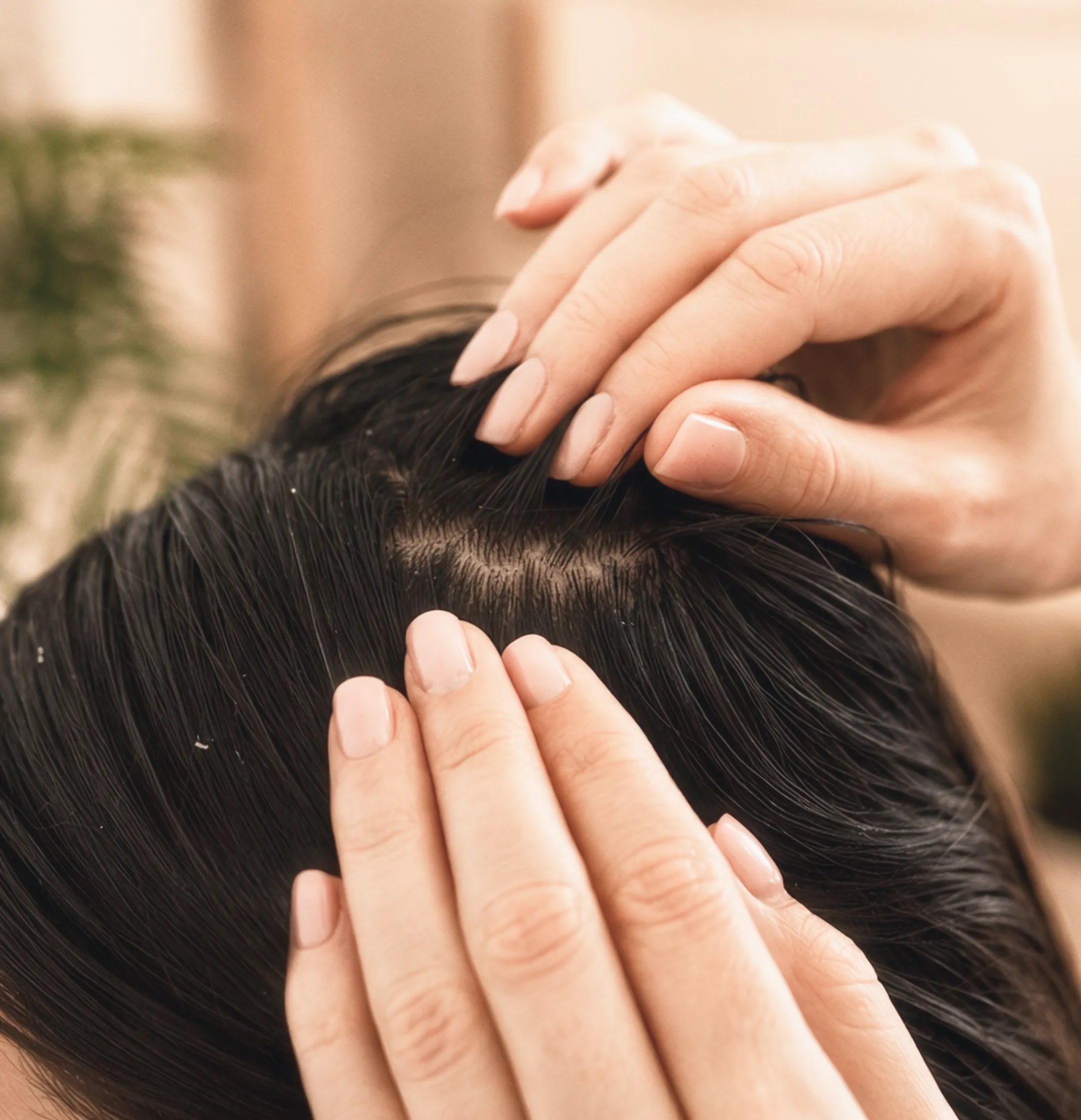 Scalp Concerns